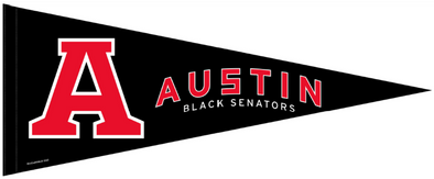 Round Rock Express Austin Black Senators Pennant